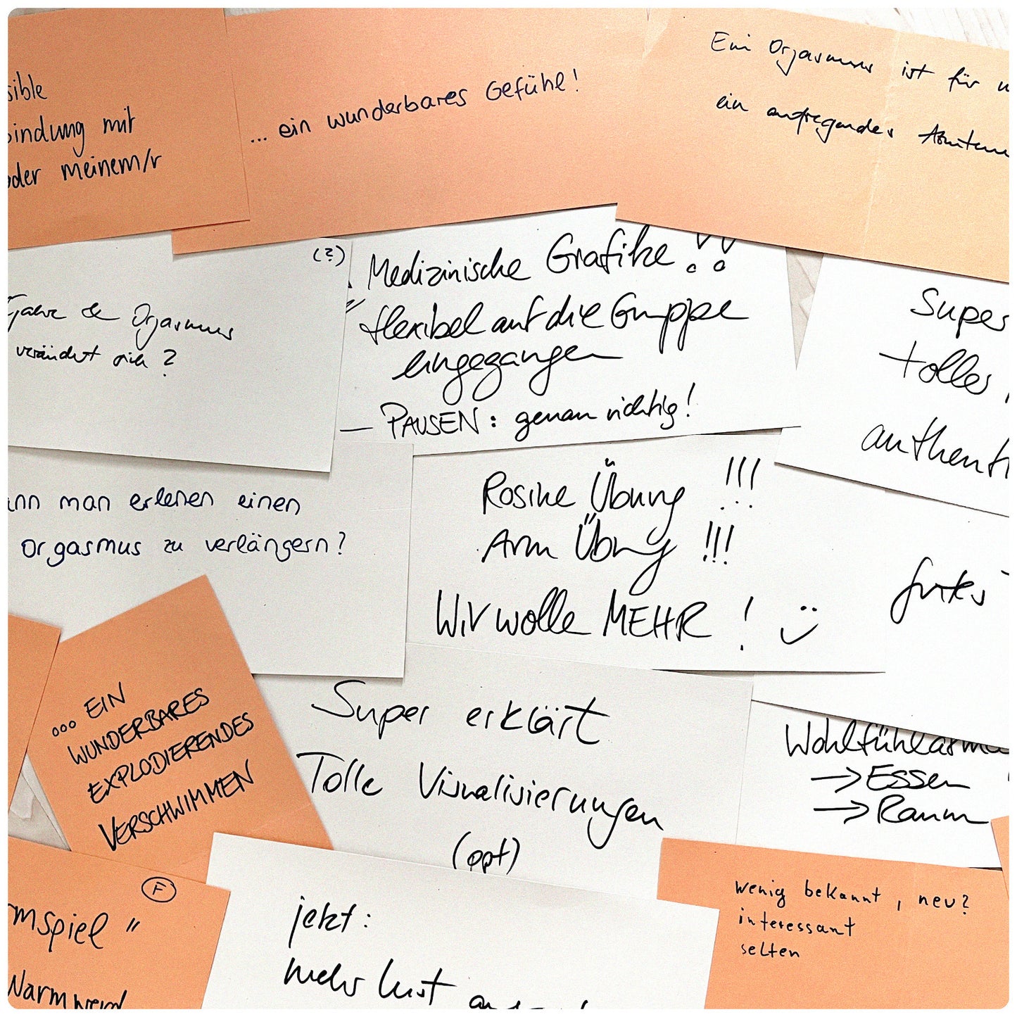 Wertvoller Info-Workshop zum Thema Lust, sexuelle Erregung und Orgasmen