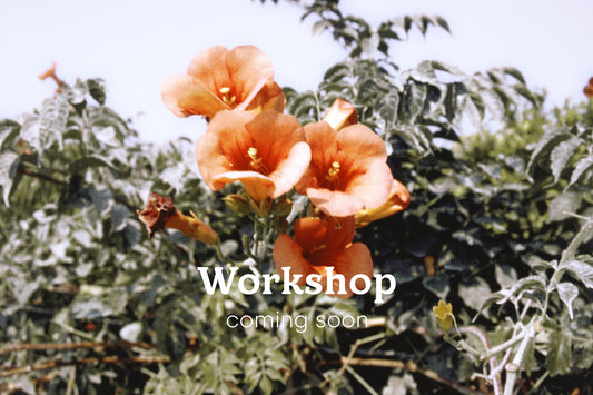 Workshop coming soon 